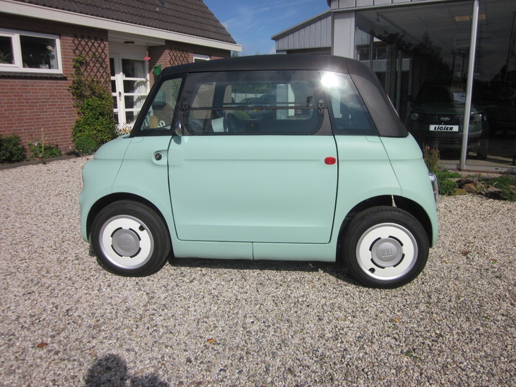 elektrische minicar